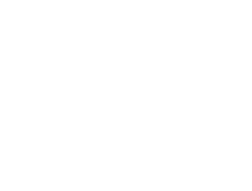 Webmaster Formation